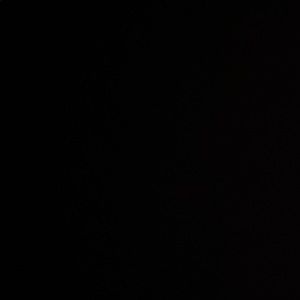 Meet your Posher, Lily